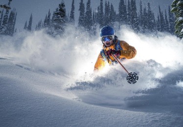 爱游戏官网|海登海姆官方敲定后防补强，租借斯图加特中卫斯特吉奥至赛季收官