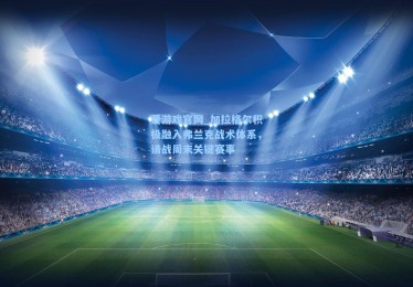 爱游戏官网_加拉格尔积极融入弗兰克战术体系，请战周末关键赛事